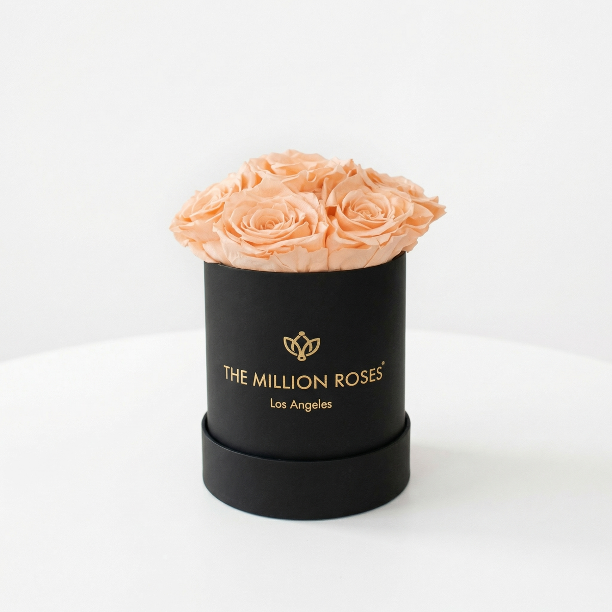 Single Peach Preserved Rose in Black Gift Box