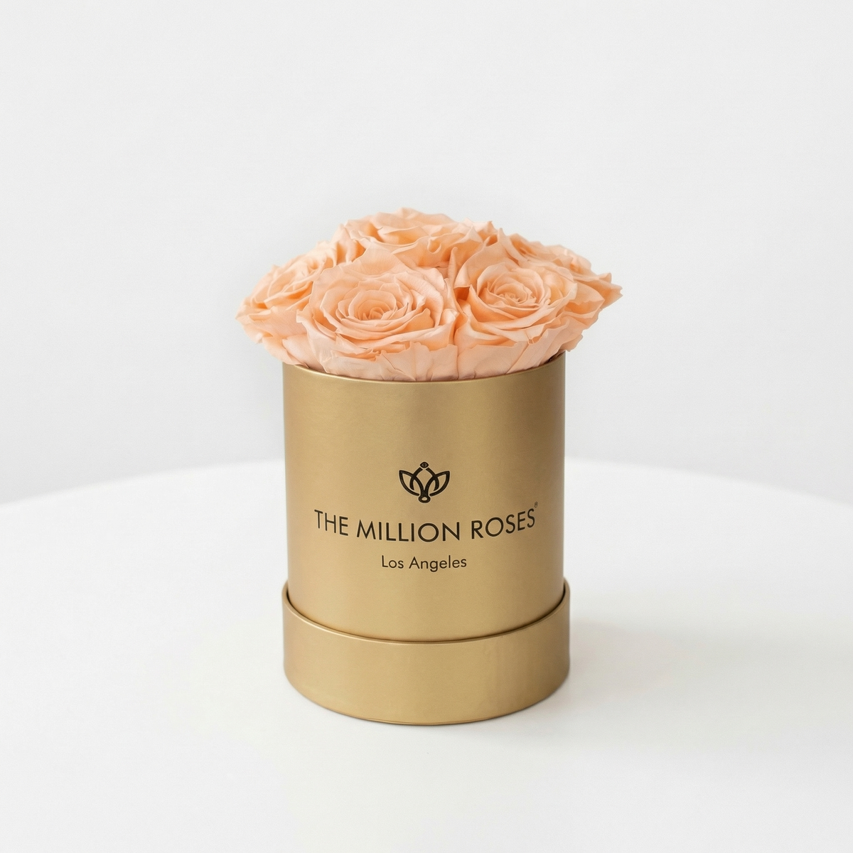 Single Peach Preserved Rose in Gold Gift Box