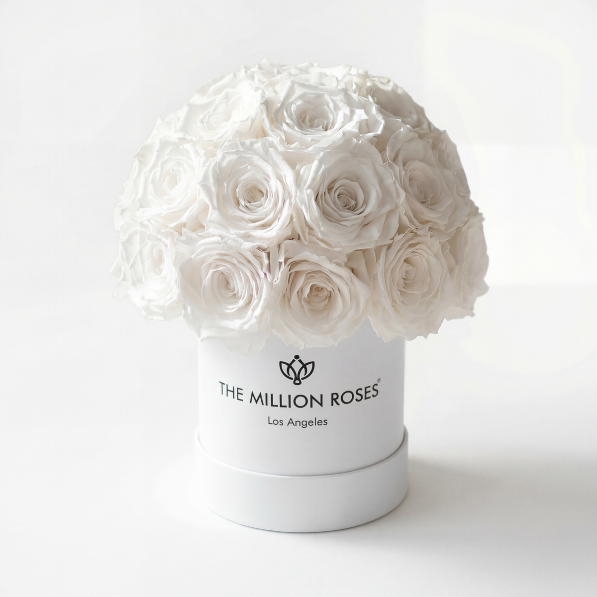 38-40 White Preserved Roses in White Dome Box