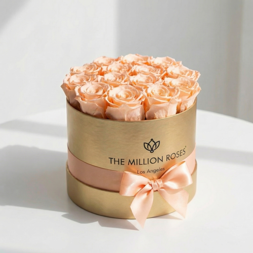 14-15 Peach Preserved Roses in Gold Gift Box