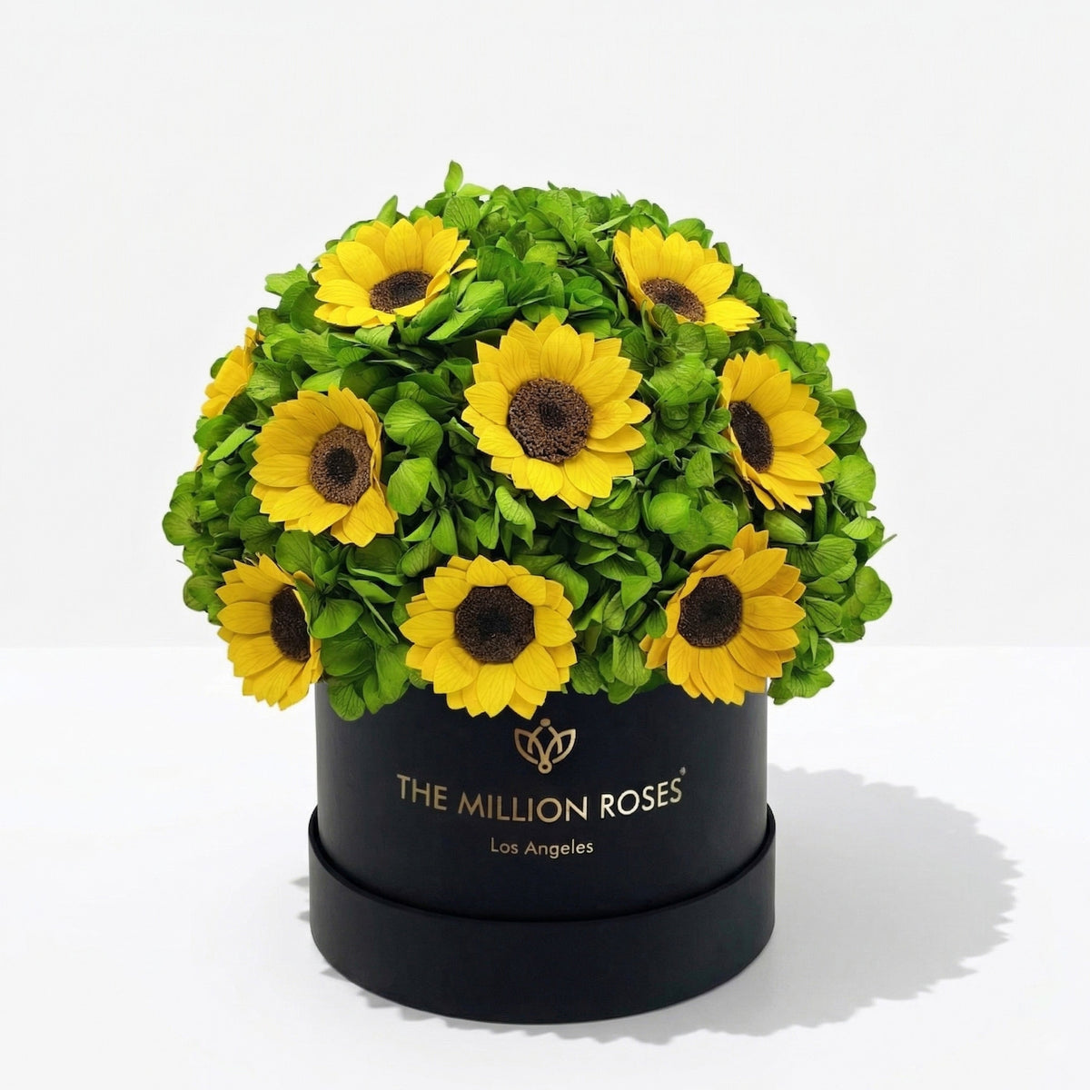 Green Preserved Hydrangeas in Black Gift Box