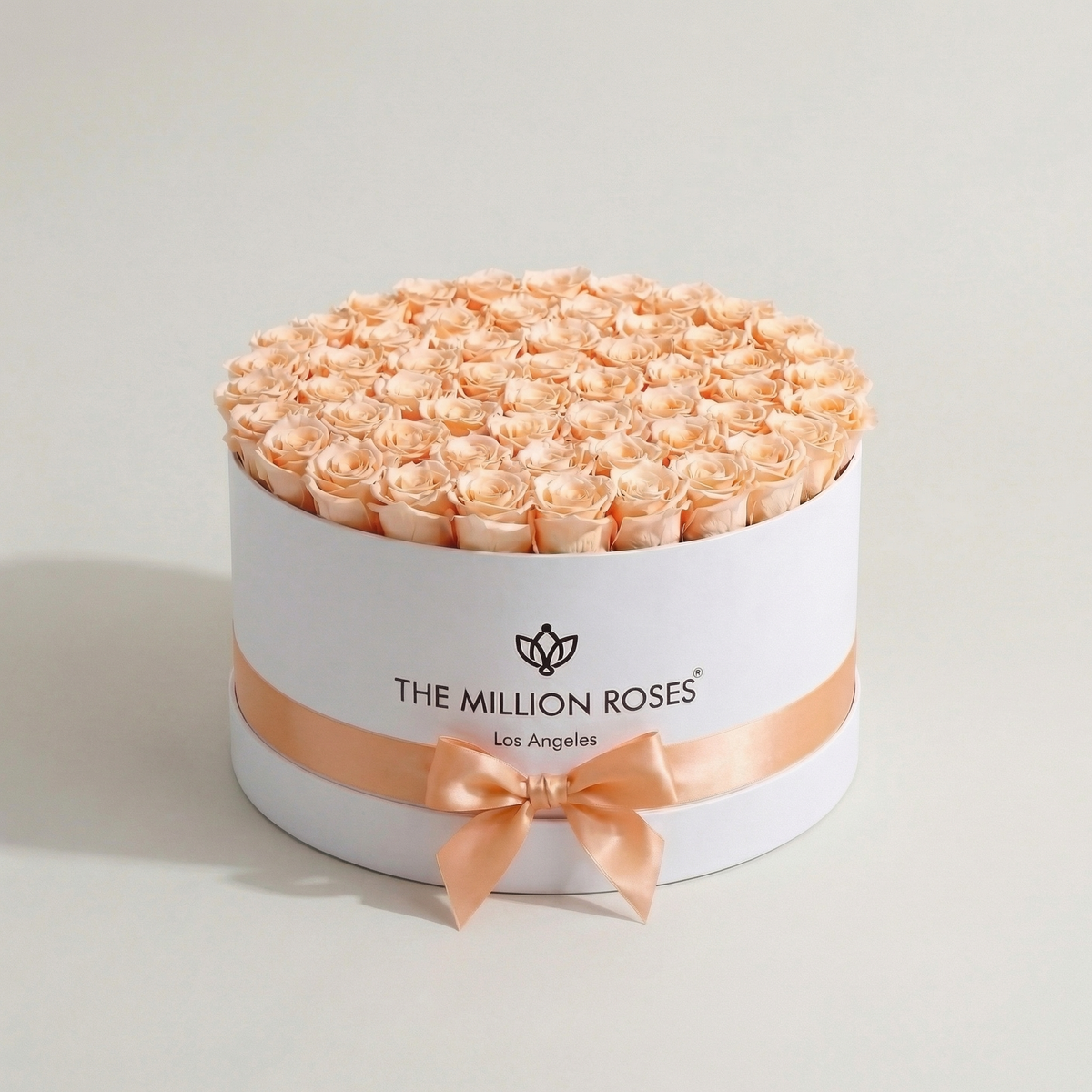 White & Peach Preserved Roses in Round Gift Box