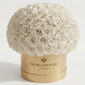 120-130 White Preserved Roses in Gold Dome Box