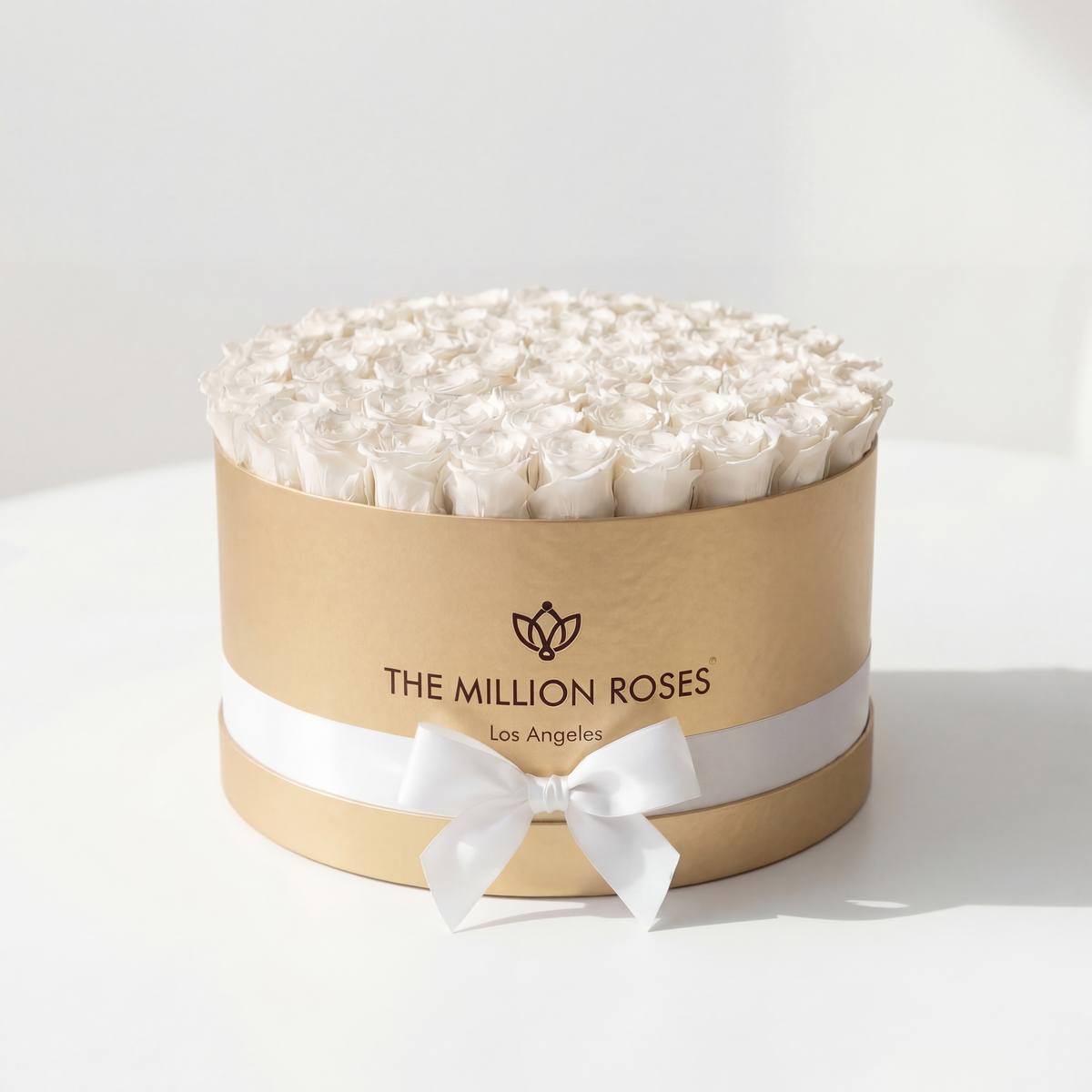 White Preserved Roses in Gold Round Gift Box