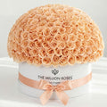 Single White & Peach Preserved Rose in Dome Box