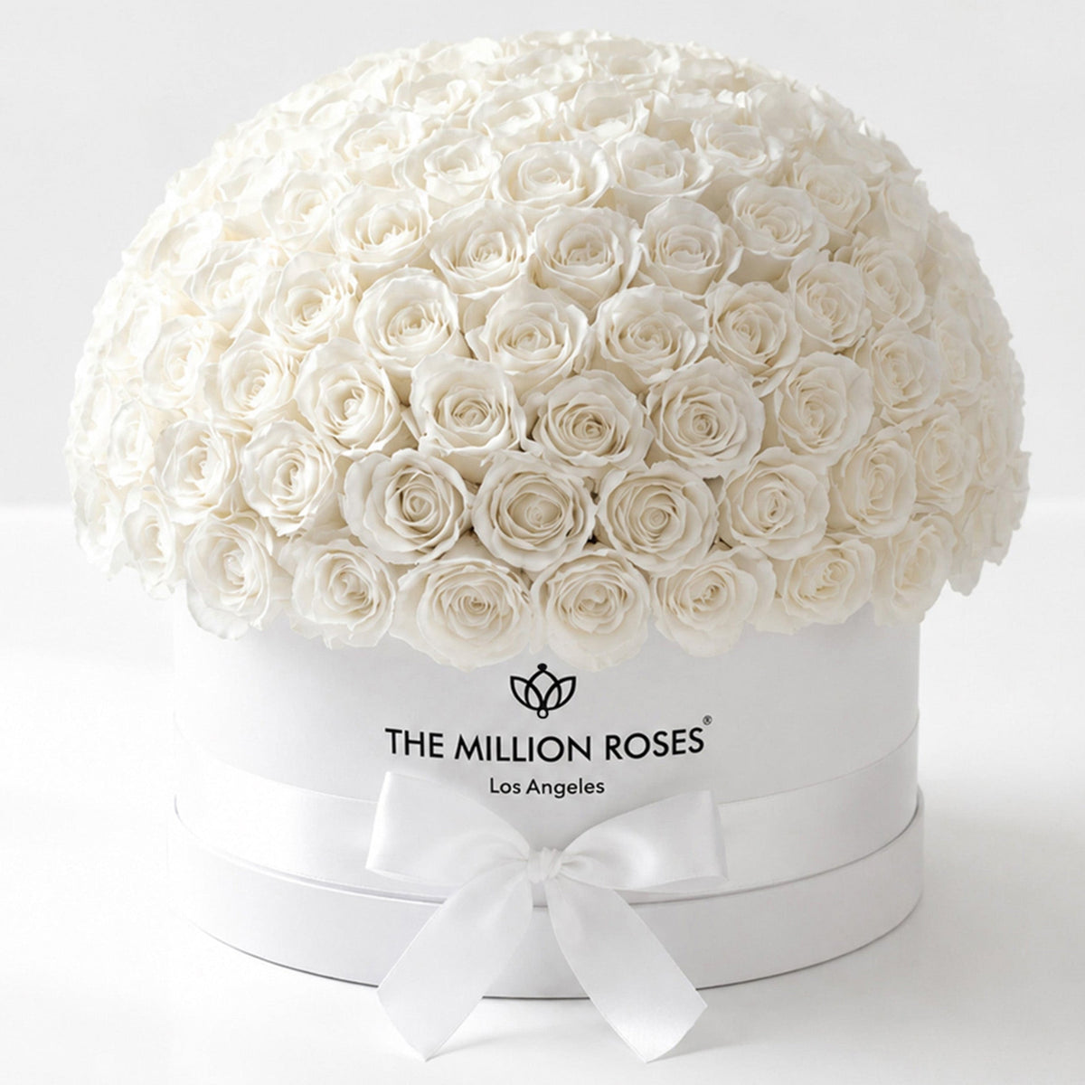 Single White Preserved Rose in Dome Box