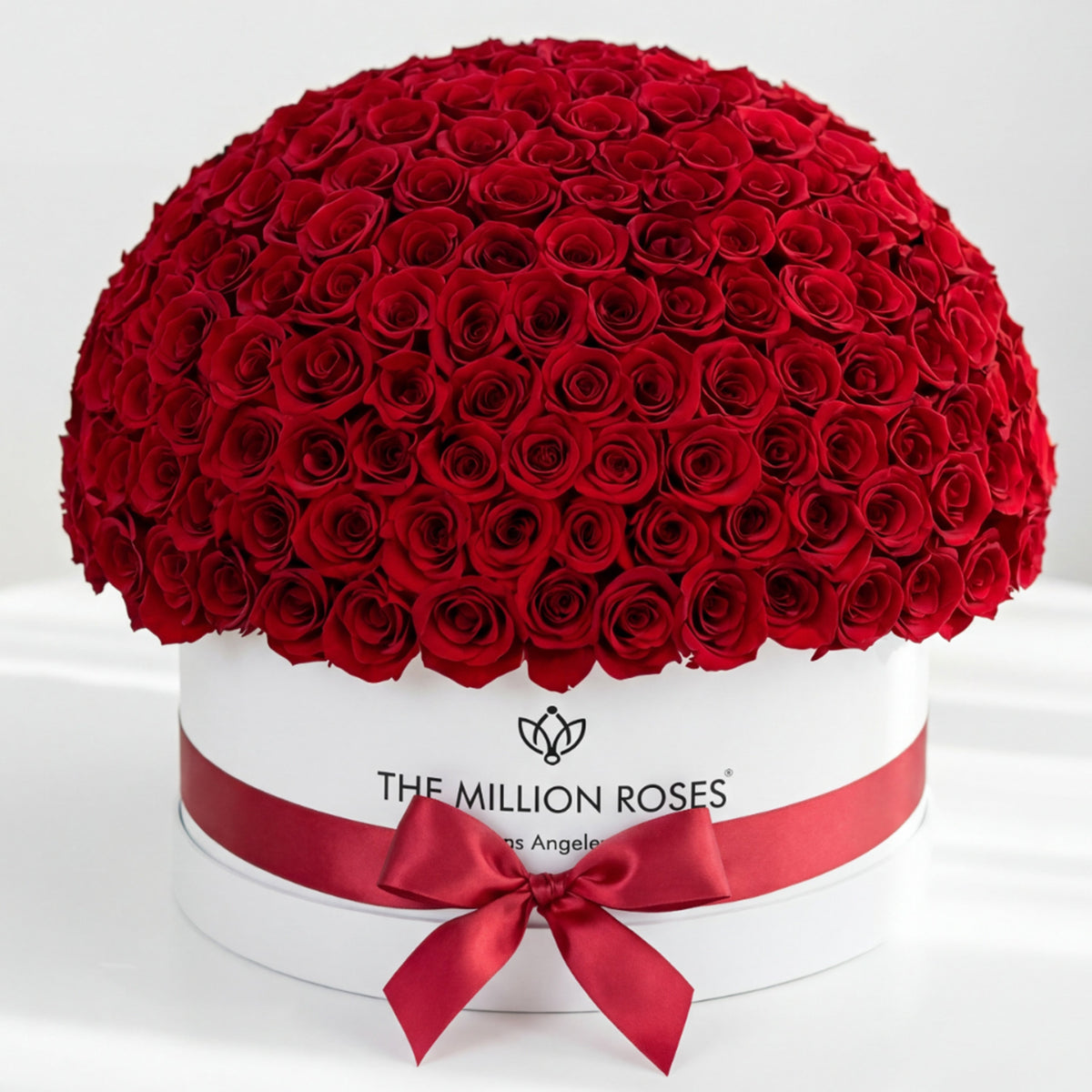 Single White & Red Preserved Rose in Dome Box