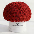 120-130 Red Preserved Roses in White Dome Box