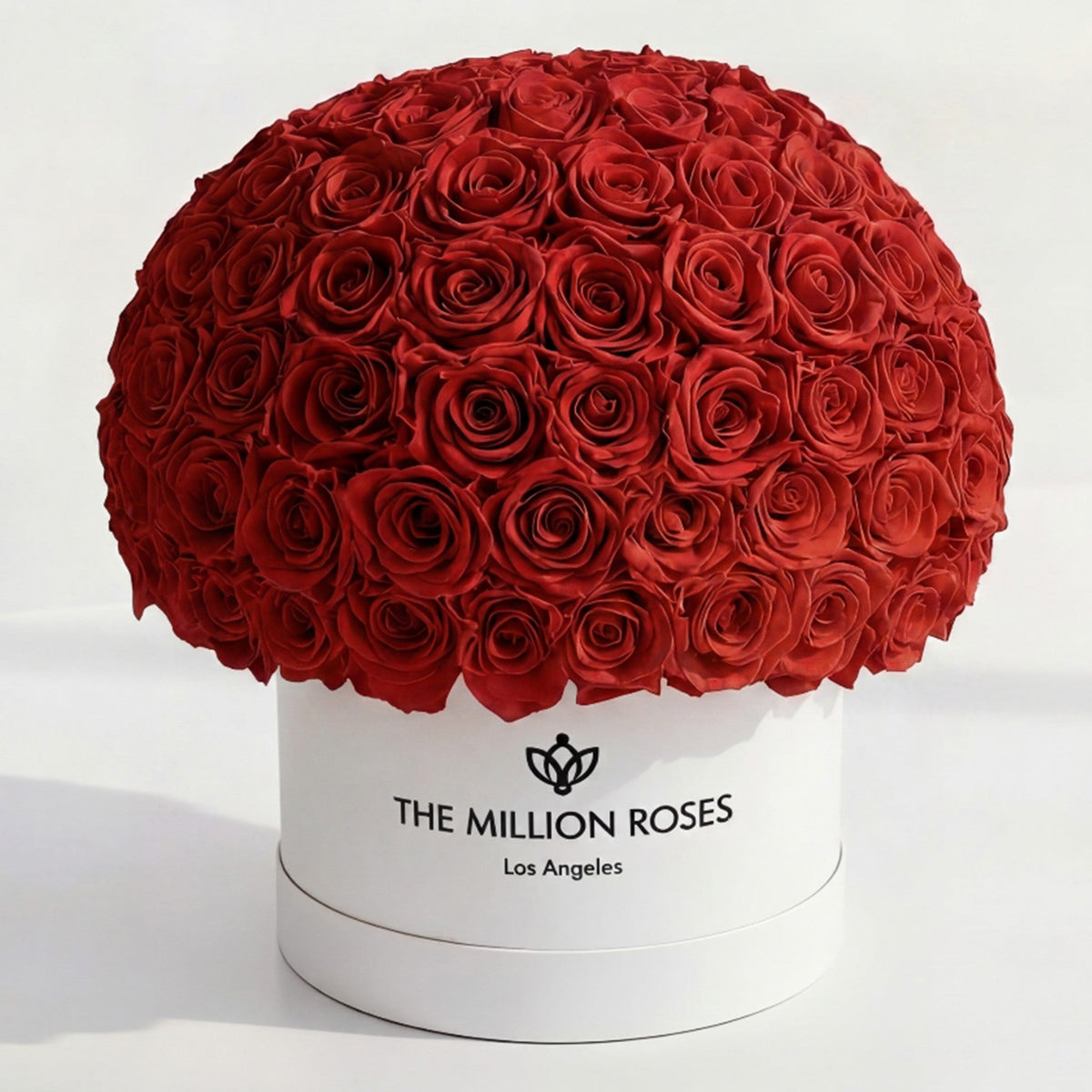 120-130 Red Preserved Roses in White Dome Box