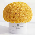 120-130 Yellow Preserved Roses in White Dome Box