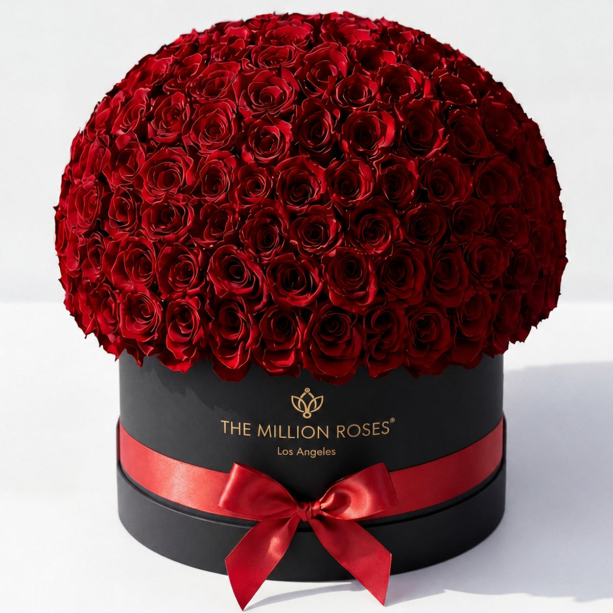 Single Black & Red Preserved Rose in Dome Box