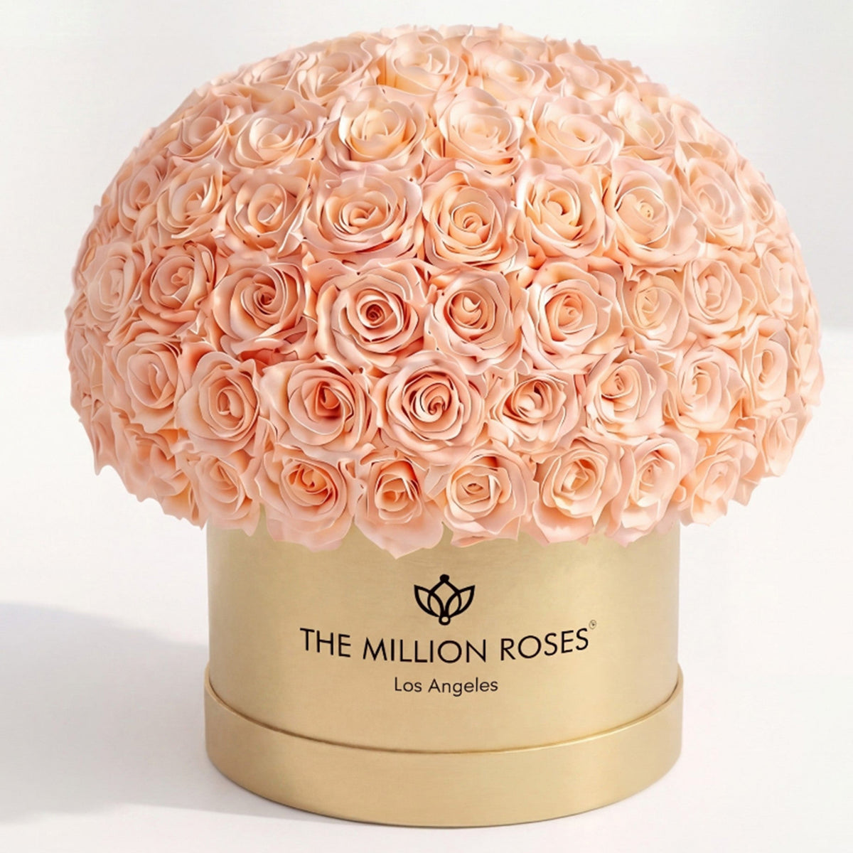 120-130 Peach Preserved Roses in Gold Dome Box