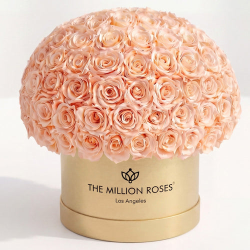 120-130 Peach Preserved Roses in Gold Dome Box