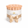 13-15 Preserved Roses in Round Gift Box
