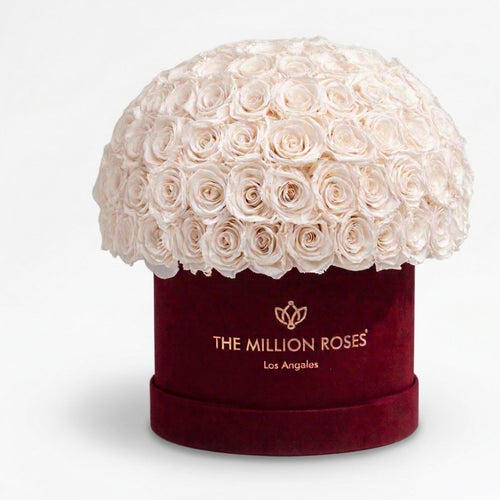 120-130 White Preserved Roses in Suede Dome Box