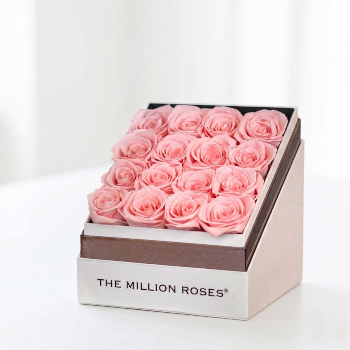 Pink Preserved Roses in White Round Gift Box