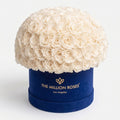 120-130 White Preserved Roses in Blue Suede Dome Box