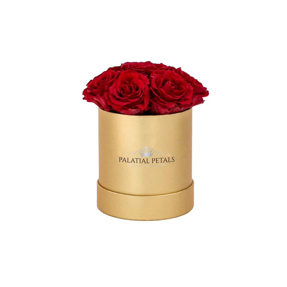 Mini Bright Red Preserved Roses in Round Gift Box