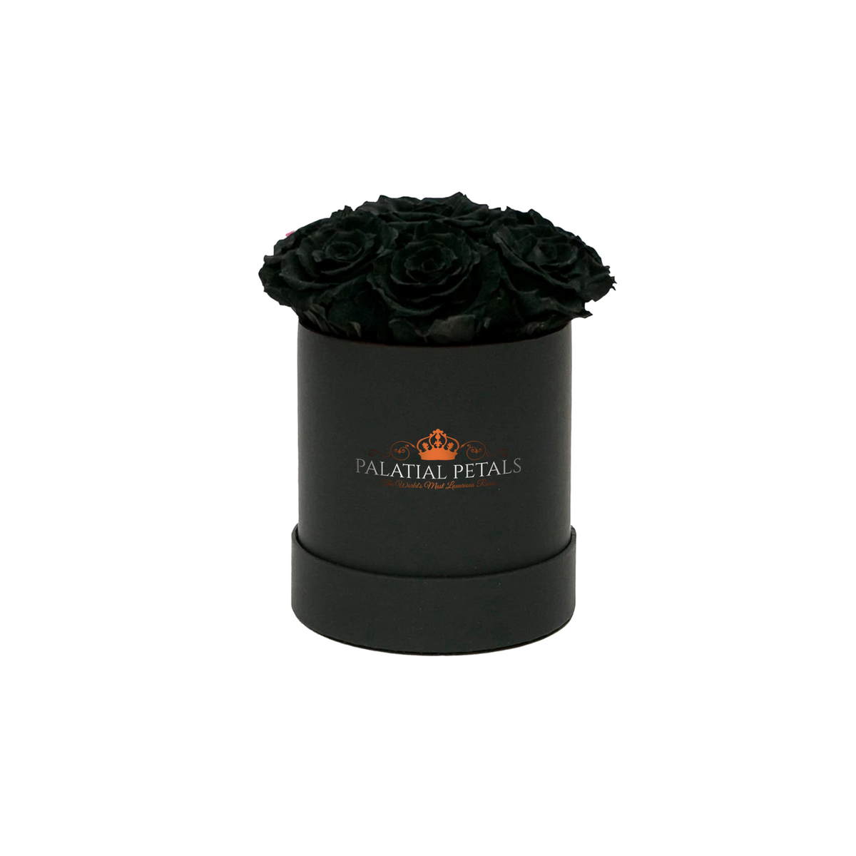 Mini Black Magic Preserved Roses in Round Gift Box