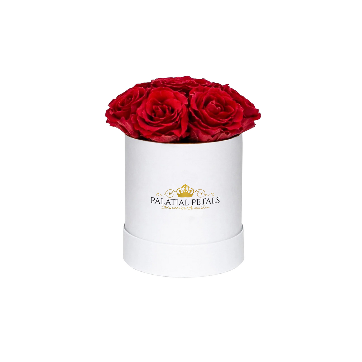 Mini Red Preserved Roses in Round Gift Box