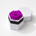 Single Purple Preserved Rose in White Hexagon Gift Box