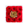 Small Preserved Roses in Square Gift Box
