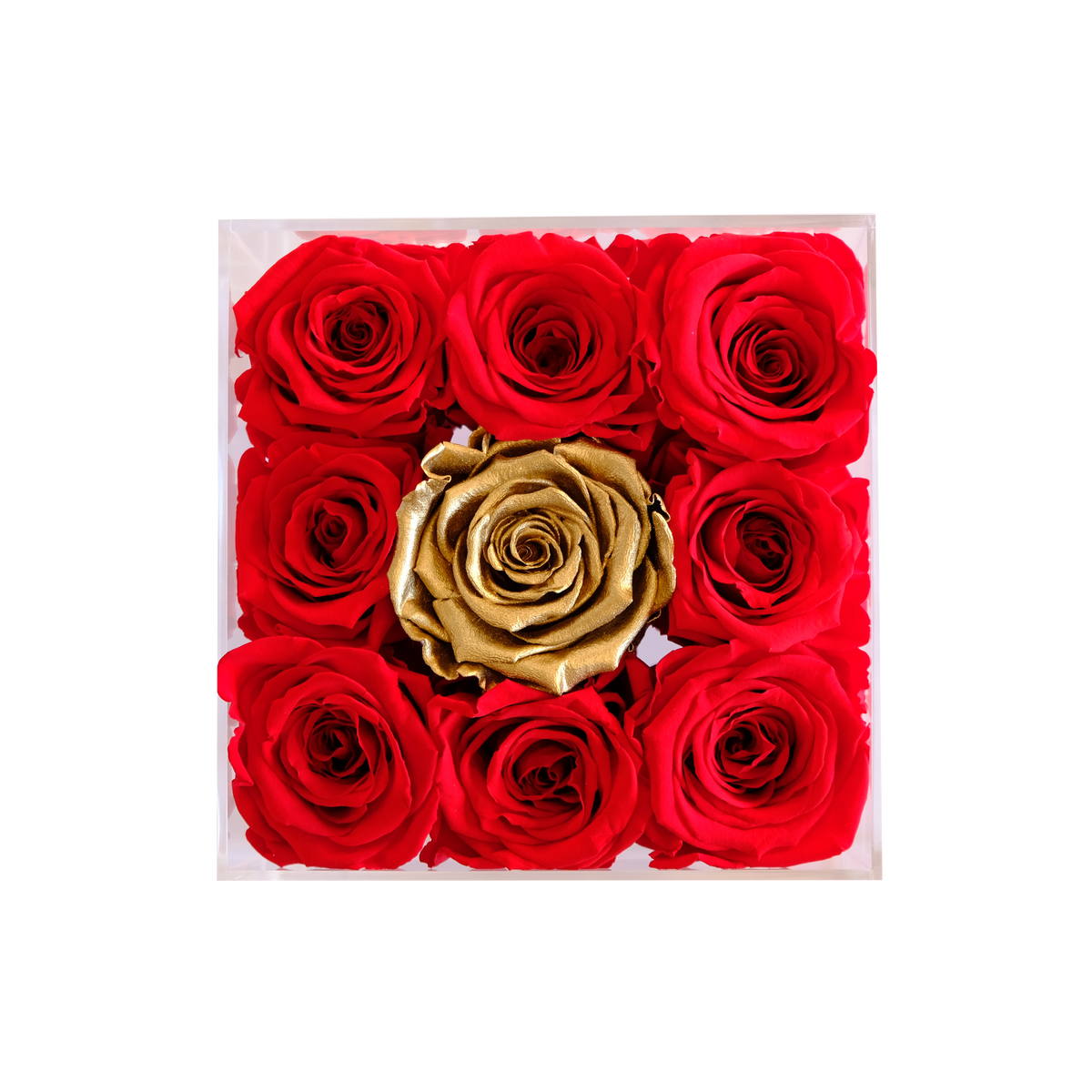 Small Preserved Roses in Square Gift Box