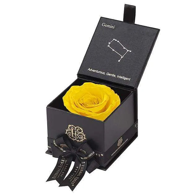 Mini Preserved Roses in White Gift Box – Gemini Zodiac Gift
