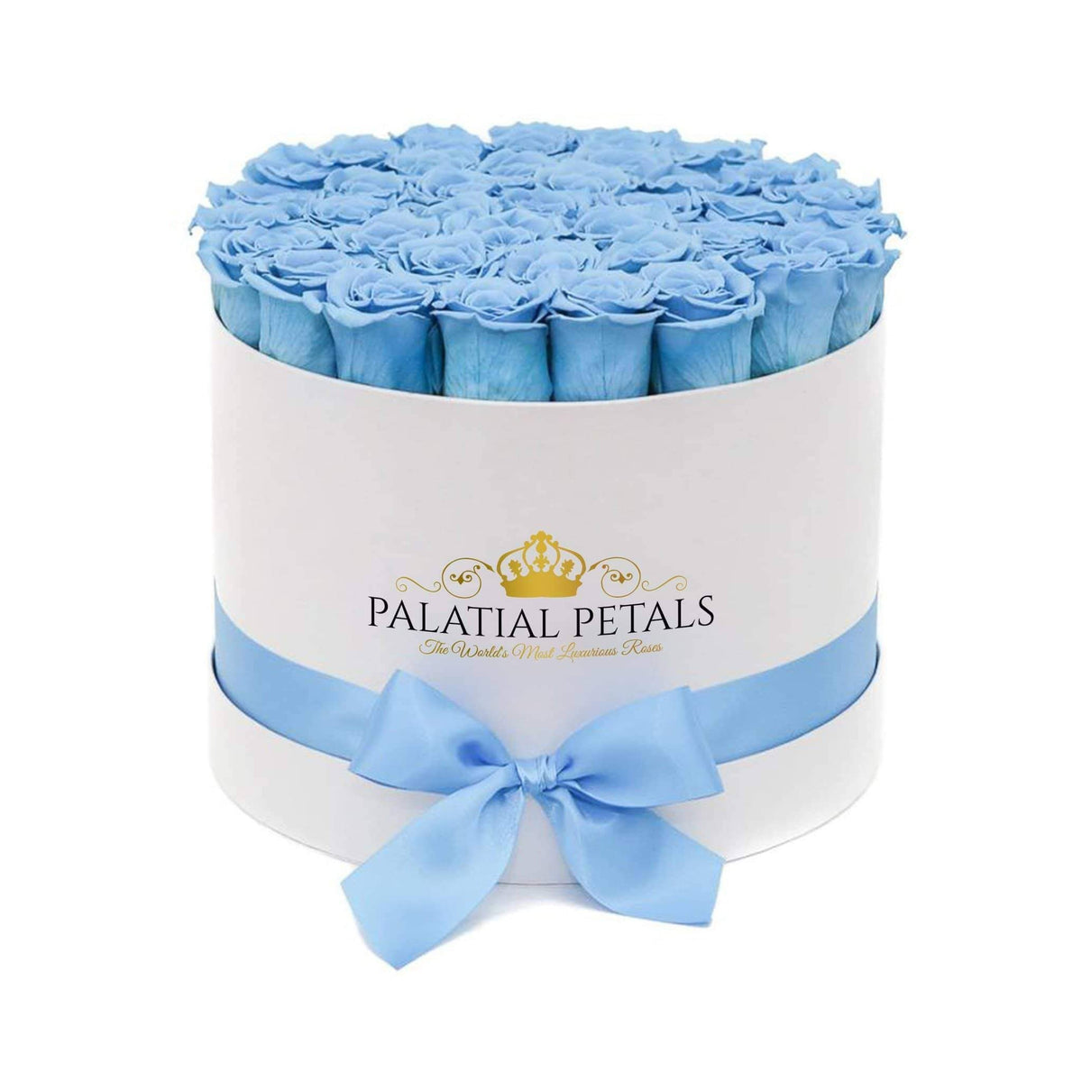 Grand Baby Blue Preserved Roses in Round Gift Box
