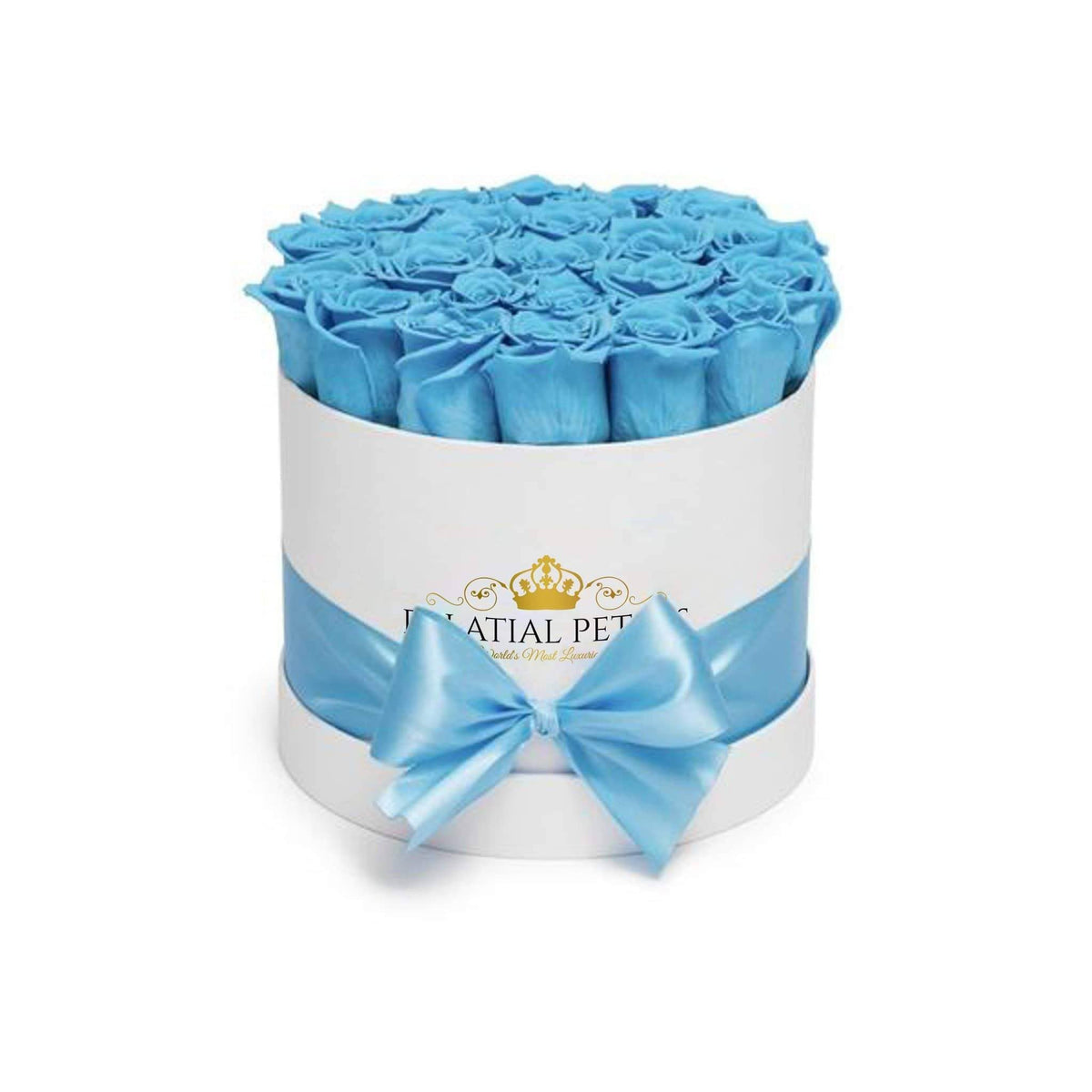 Baby Blue Preserved Roses in Round Gift Box