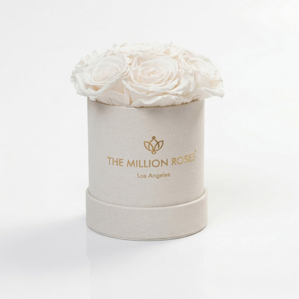 Single White Preserved Rose in Beige Suede Gift Box