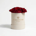 Single Red Preserved Rose in Suede Gift Box