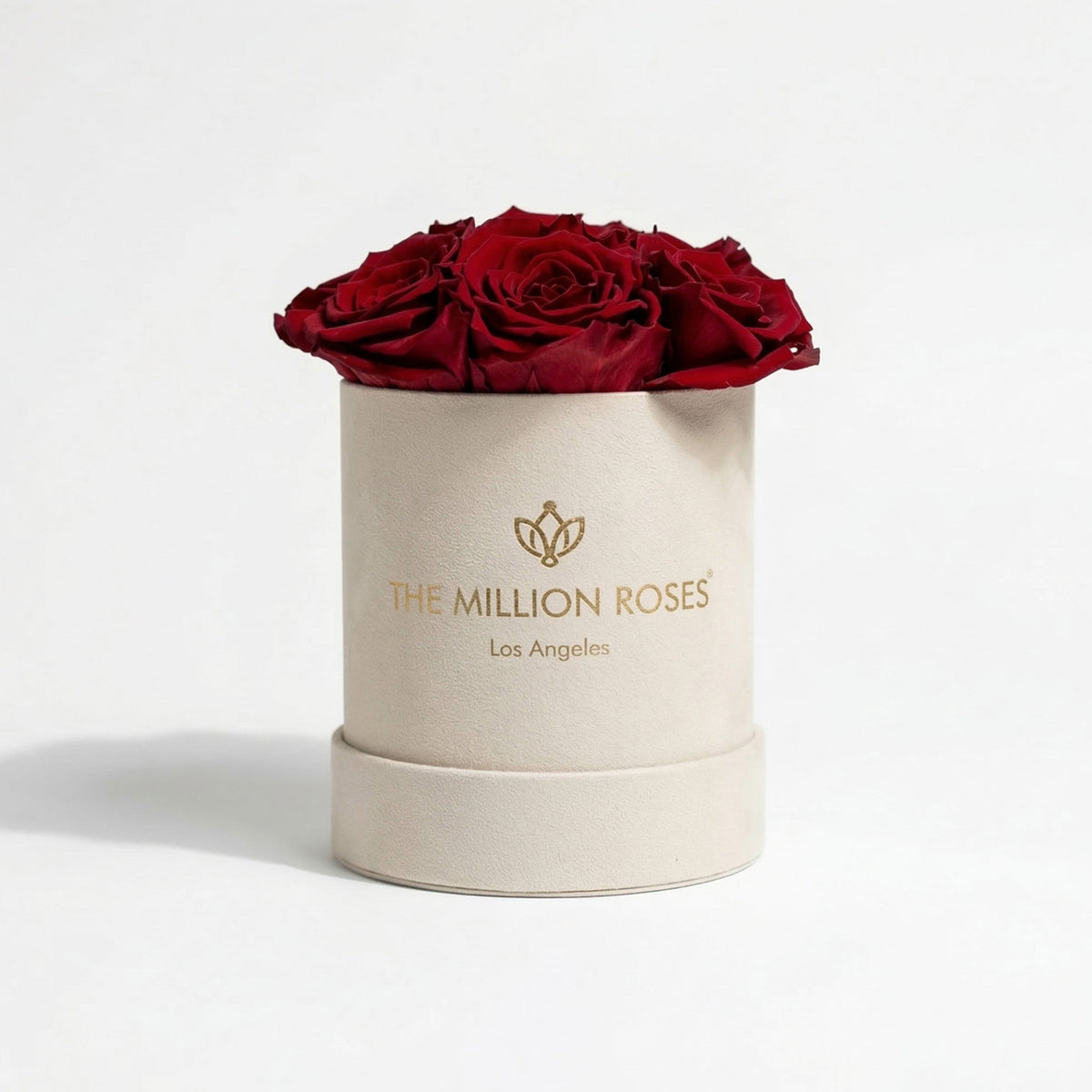 Single Red Preserved Rose in Suede Gift Box