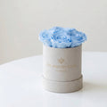 Single Beige & Blue Preserved Rose in Suede Gift Box