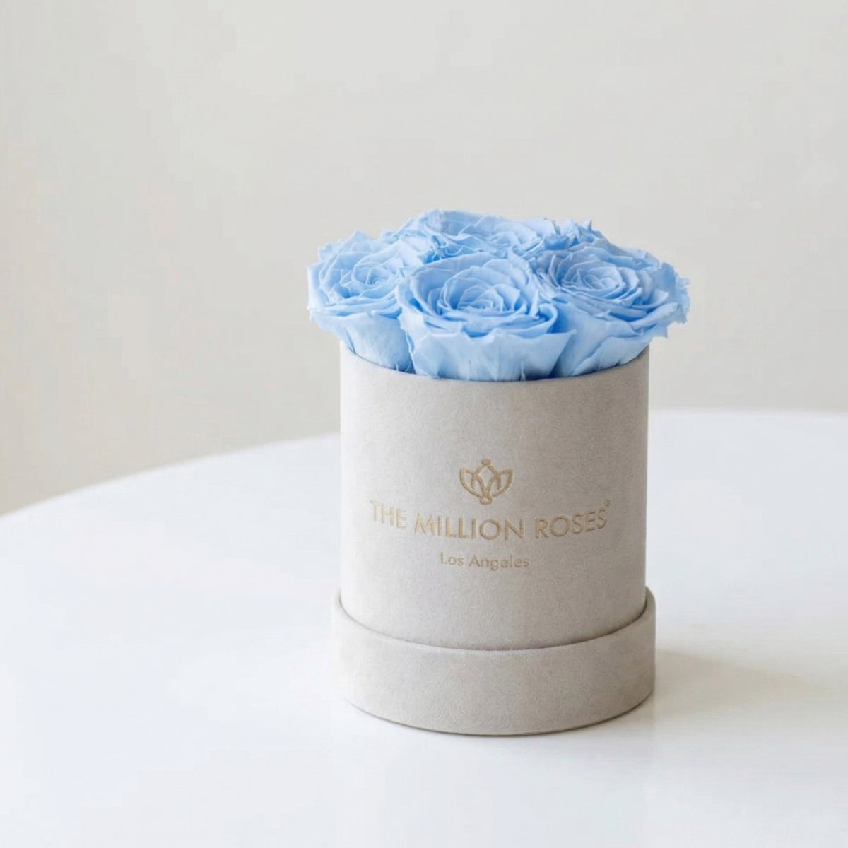 Single Beige & Blue Preserved Rose in Suede Gift Box