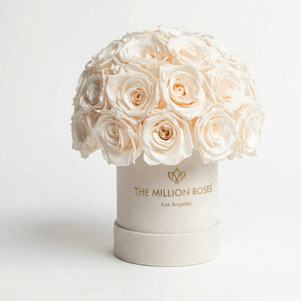 38-40 White Preserved Roses in Beige Suede Dome Box