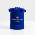 Single Blue Preserved Rose in Suede Gift Box