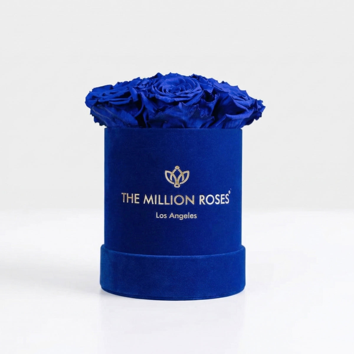 Single Blue Preserved Rose in Suede Gift Box