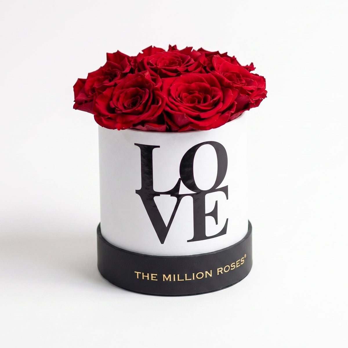 Single White & Red Preserved Rose Gift Box
