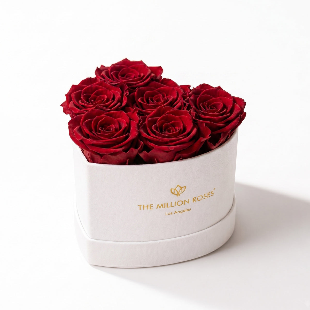 Beige & Red Preserved Roses in Suede Heart Gift Box