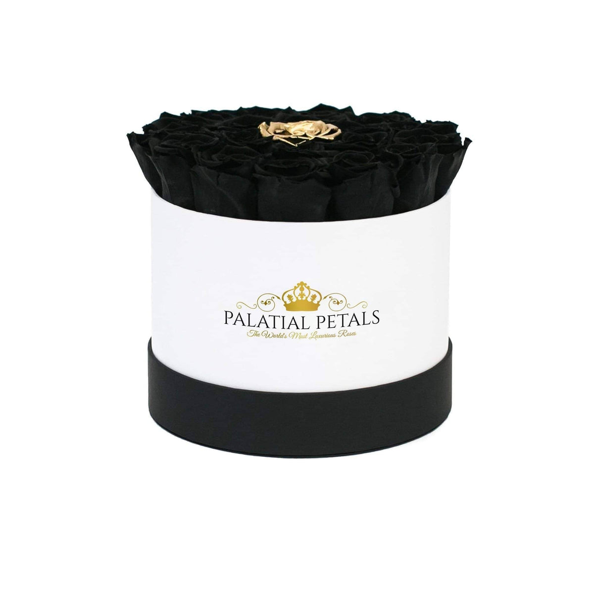 Black Magic & 24K Gold Preserved Roses in Classic Round Gift Box – Style 3