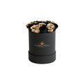 Mini Black Magic & 24K Gold Preserved Roses in Petite Round Gift Box – Style 2