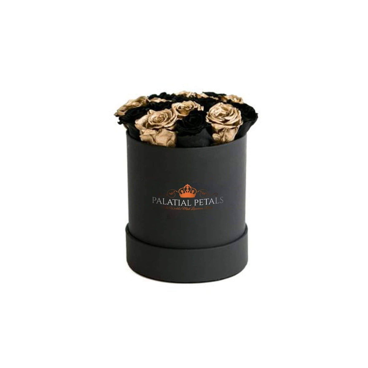 Mini Black Magic & 24K Gold Preserved Roses in Petite Round Gift Box – Style 2