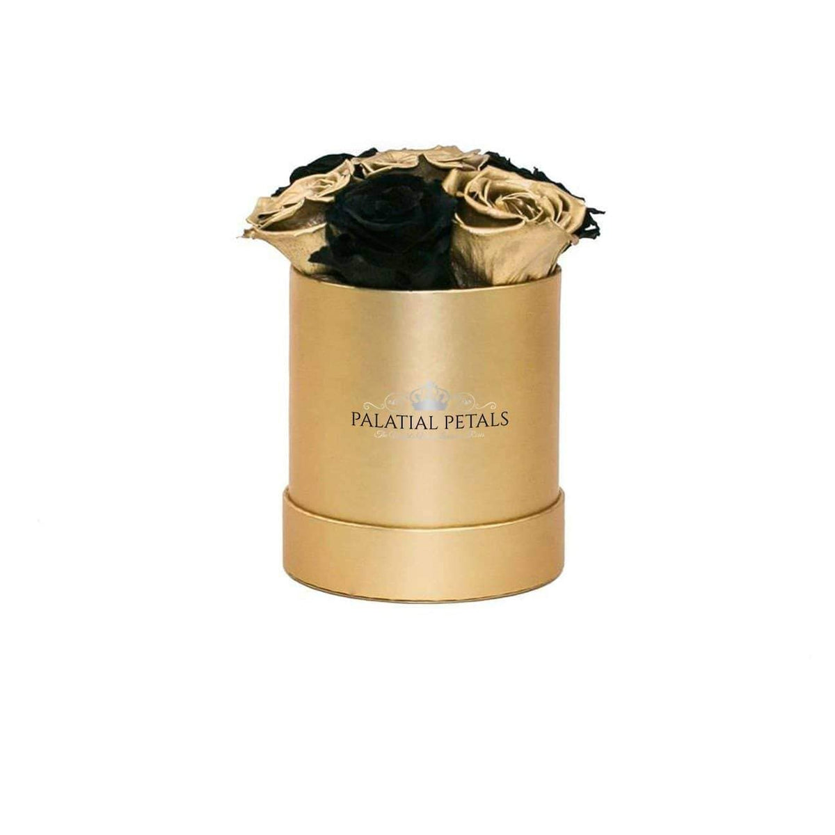 Mini Black Magic & 24K Gold Preserved Roses in Petite Round Gift Box