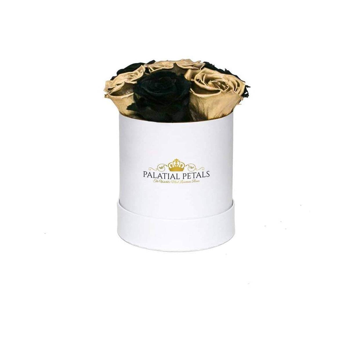 Mini Black & 24K Gold Preserved Roses in Round Gift Box