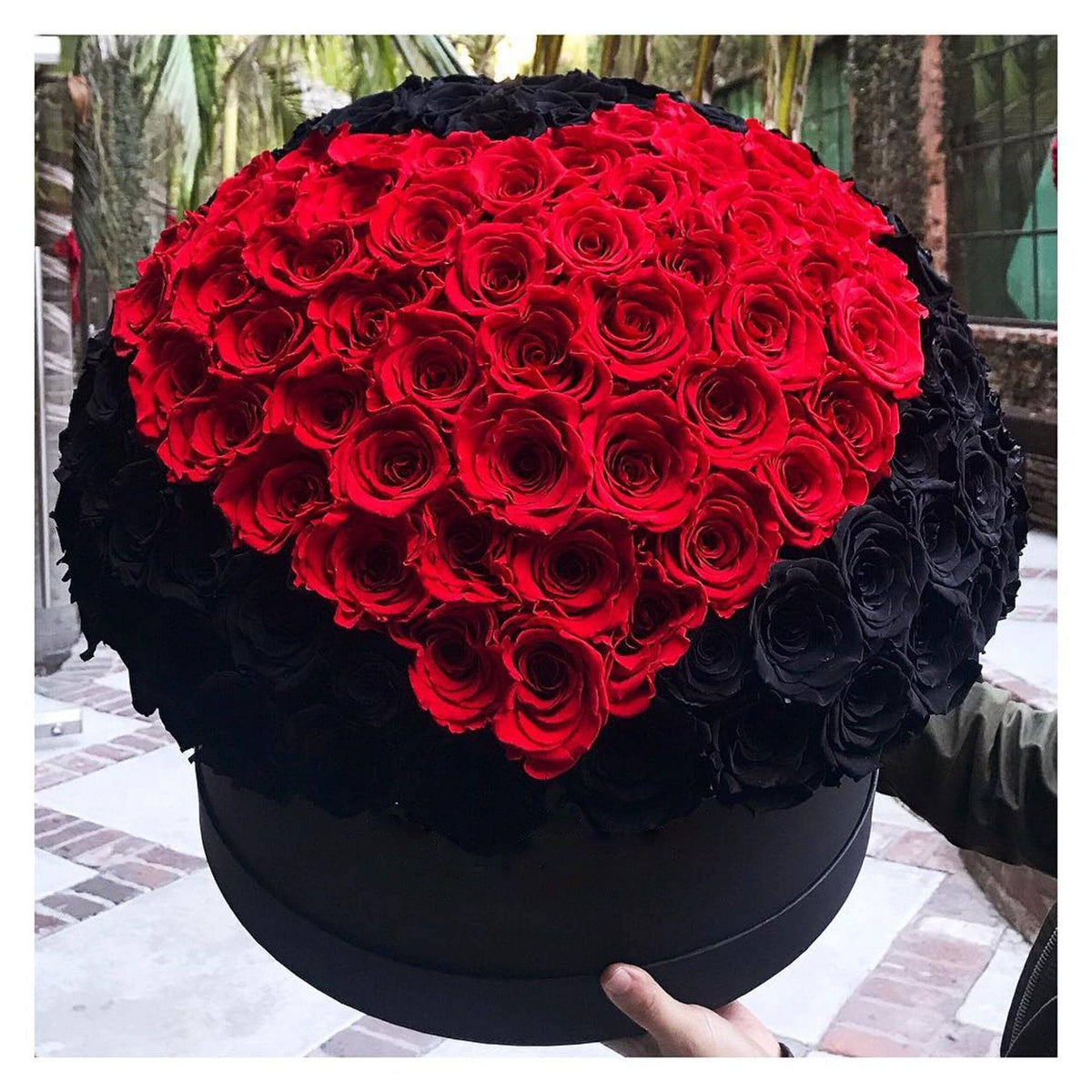 Black Magic & Red Preserved Roses in Deluxe Round Gift Box