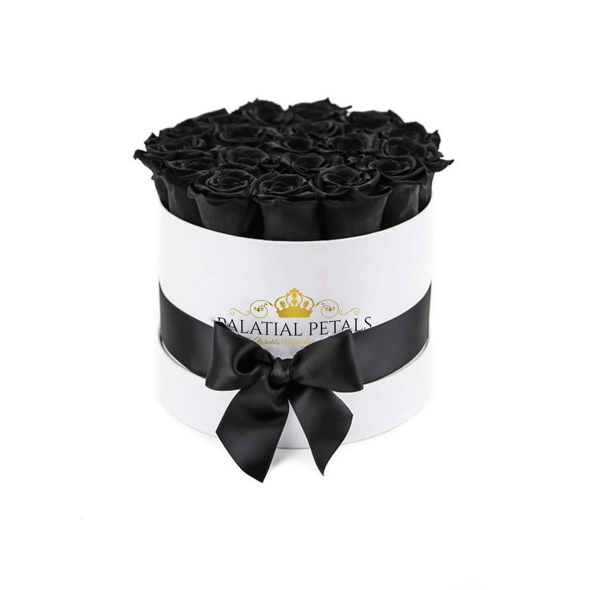 Black Magic Preserved Roses in Classic Round Gift Box – Style 2