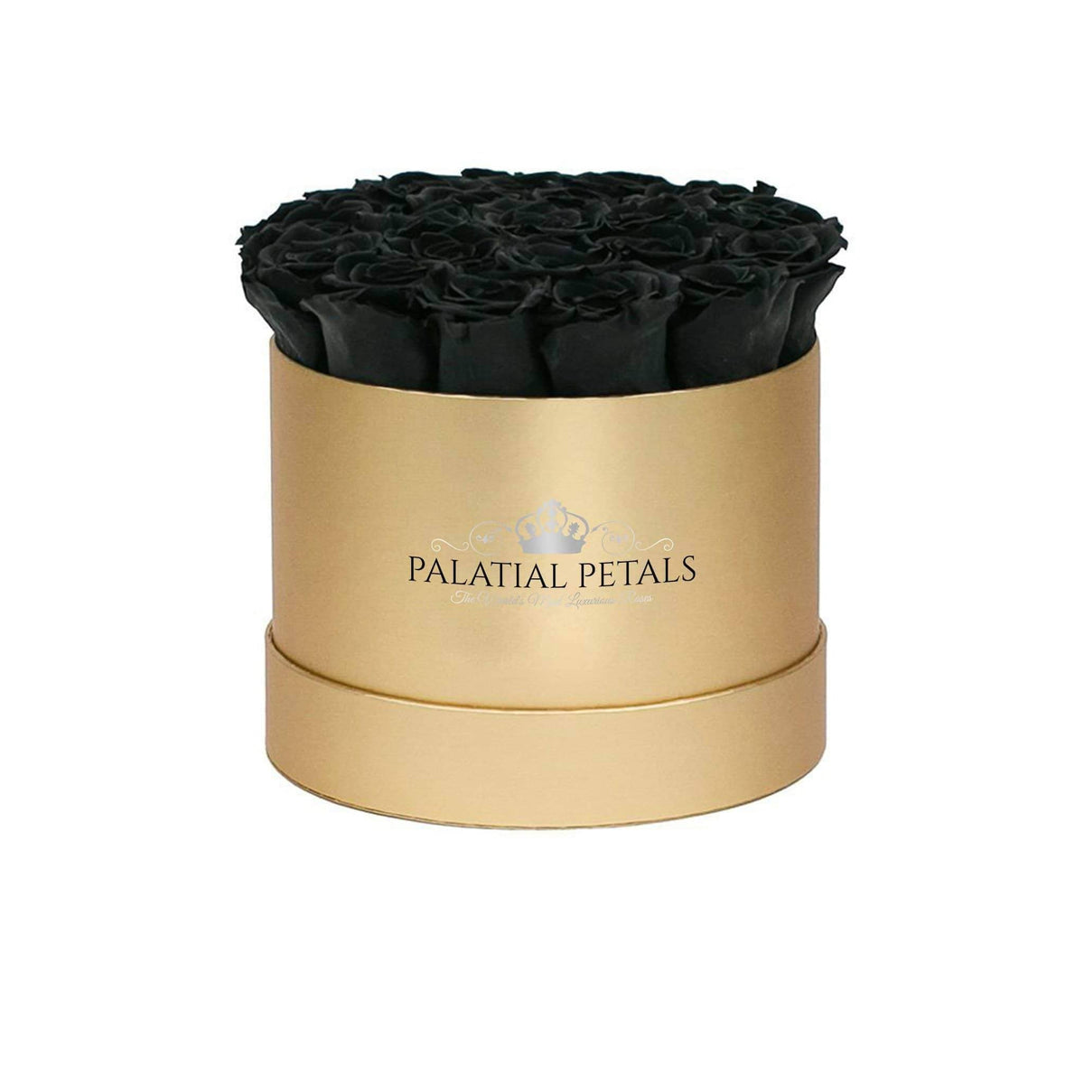 Black Magic Preserved Roses in Classic Round Gift Box