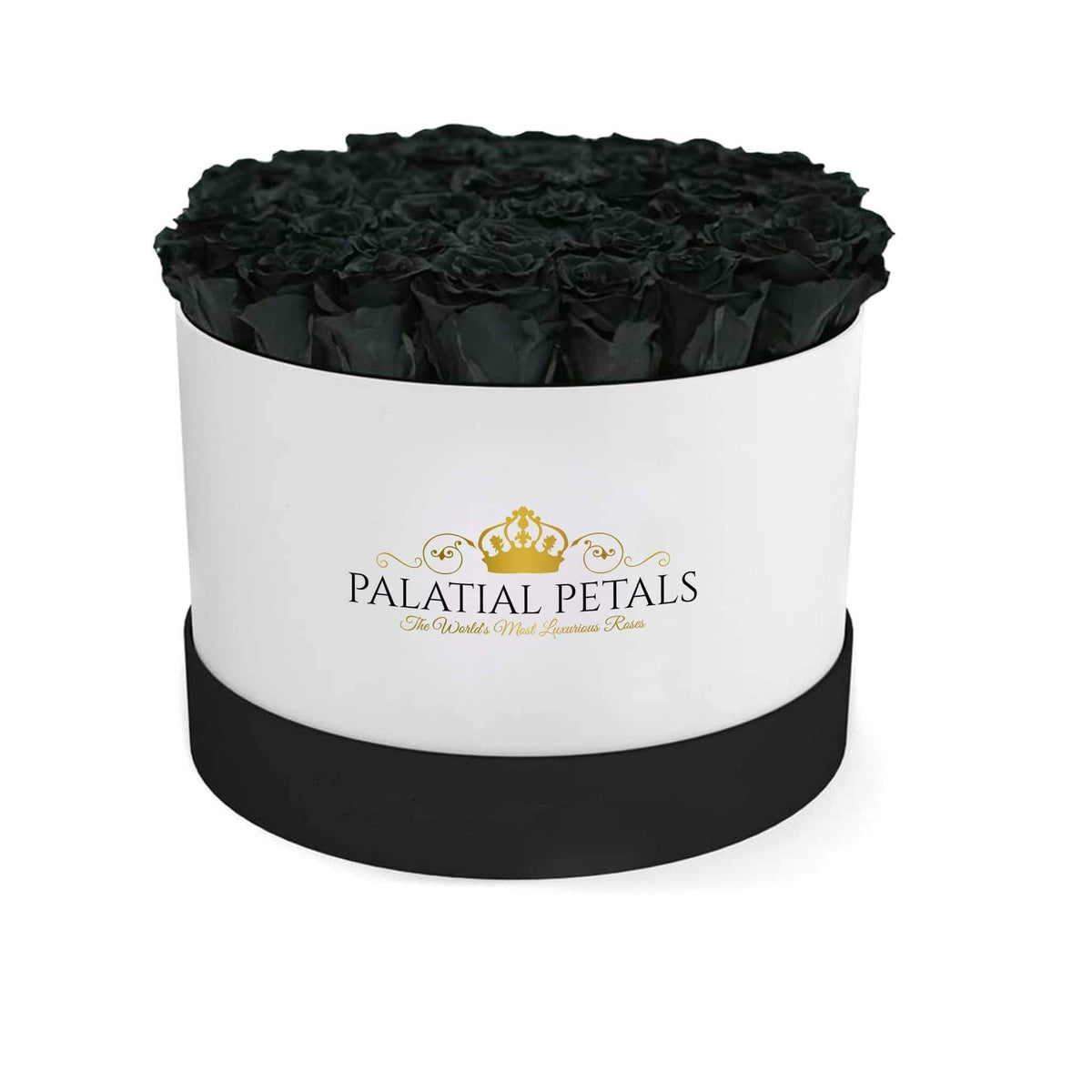 Grand Black Magic Preserved Roses in Round Gift Box – Style 3
