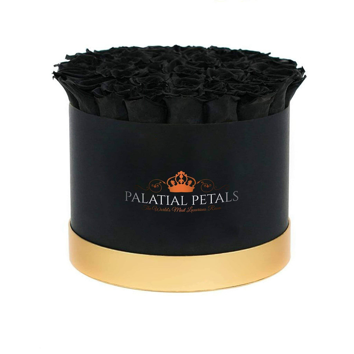 Grand Black Magic Preserved Roses in Round Gift Box